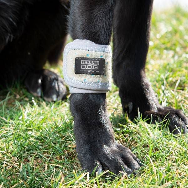 Weaver D.O.G. Wrap for Icing/Cooling