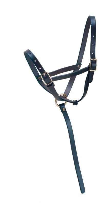Tory Leather Leather Foal Slip Halter with Adjusta