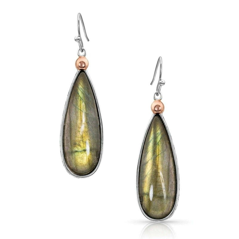 Montana Silversmiths Hidden Lake Earrings Labrador