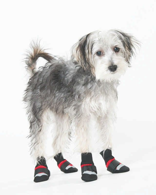 Extreme All Weather Dog Boots LG Red/Black