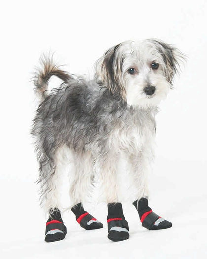 Extreme All Weather Dog Boots LG Red/Black