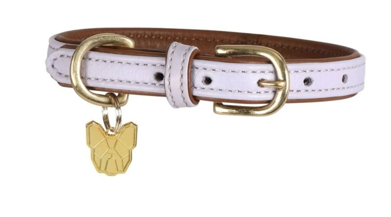 Shires Digby Padded Dog Collar