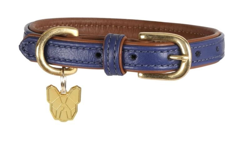 Shires Digby Padded Dog Collar