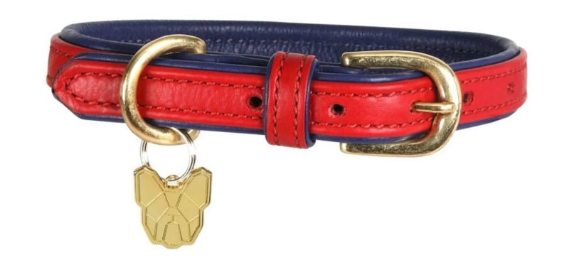 Shires Digby Padded Dog Collar