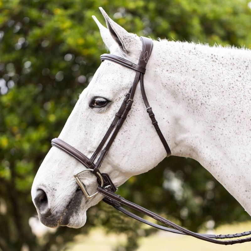 Equinavia Valkyrie Fancy Stitched Hunter Bridle &