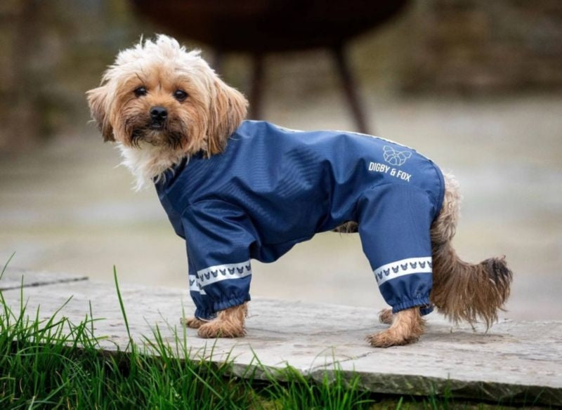Shires Digby Fox Cover-All Dog Coat