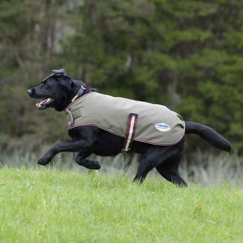 Weatherbeeta Comfitec Parka Dog Coat Olive 10