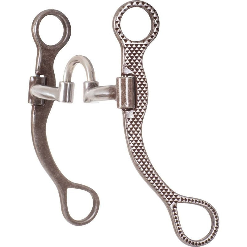 Classic Equine Rasp Straight Shank Bit with Correctio