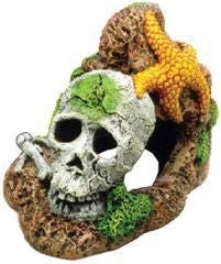 Blue Ribbon Skull with Starfish Ornament