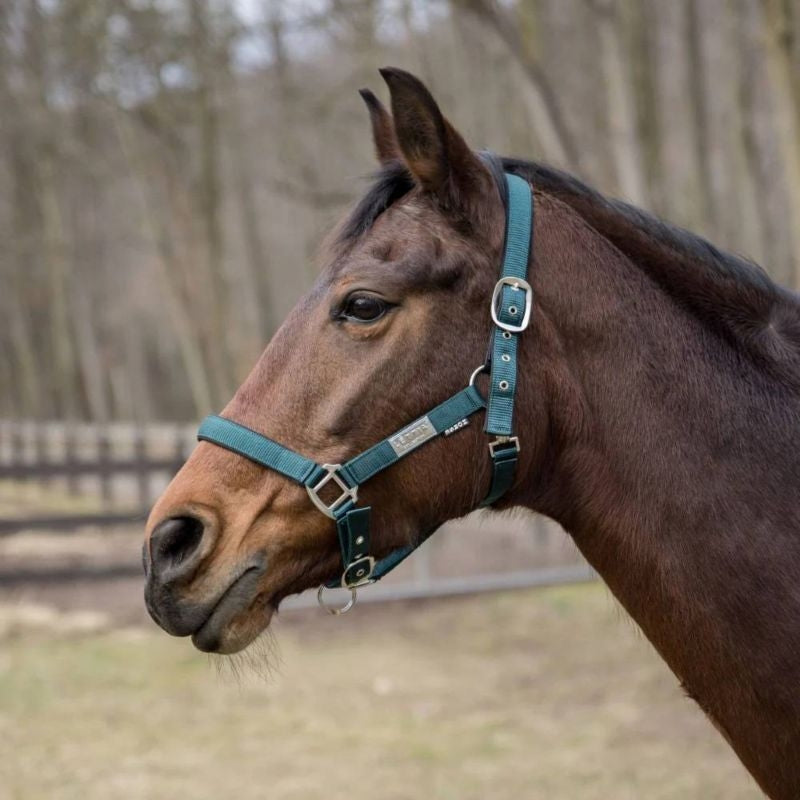 Lettia EquiFine Breakaway Halter
