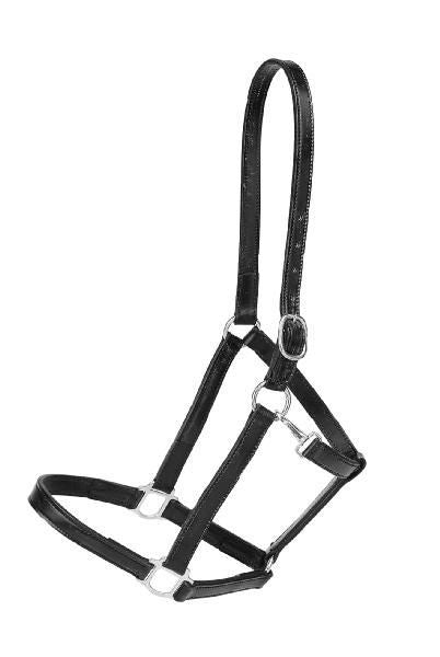 Tory 1In Halter - Crown Buckle Warmblood Brn