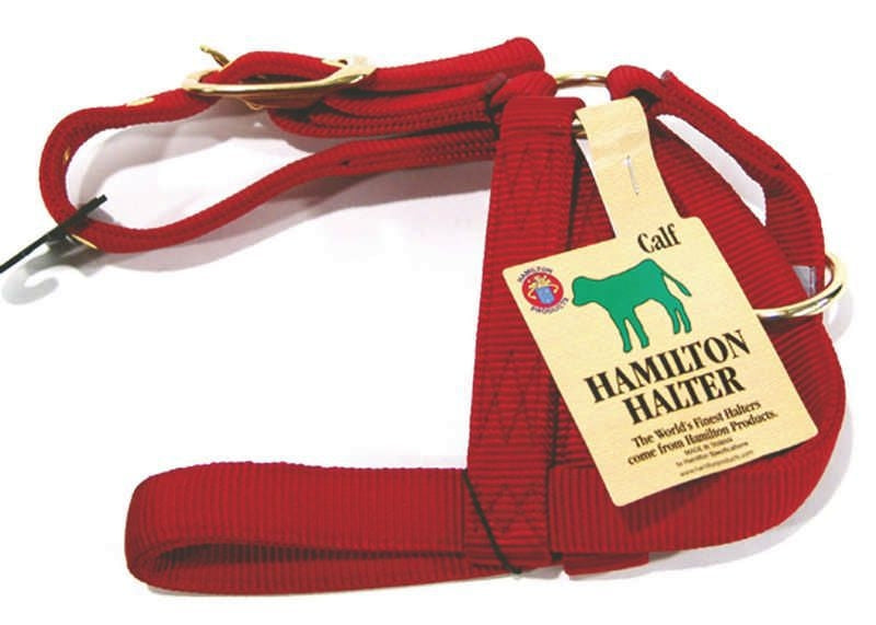 Hamilton Turnout Halter For Calves 7x3.5x1.5 Red
