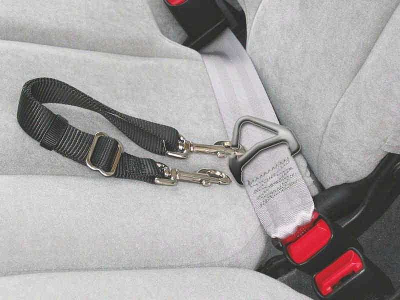 Adjustable Seal Leash For Dogs 10 x 4 x 1.5 Black