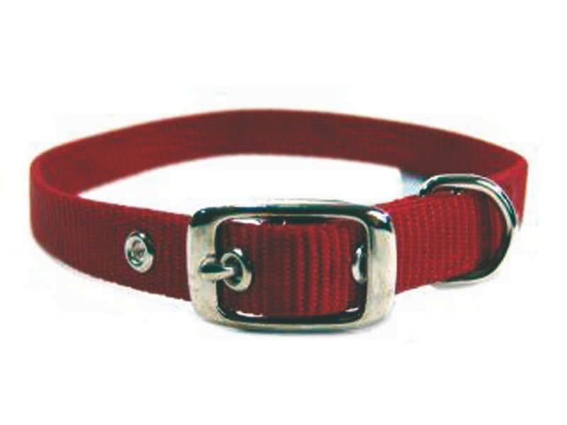 Single Nylon Dog Collar 2x0.25x0.25 Black