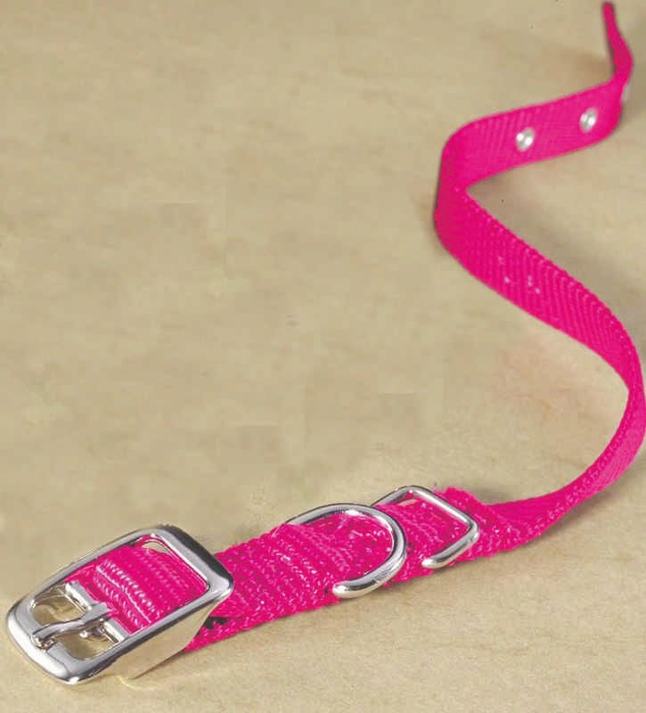 Single Nylon Dog Collar 2x0.25x0.25 Black