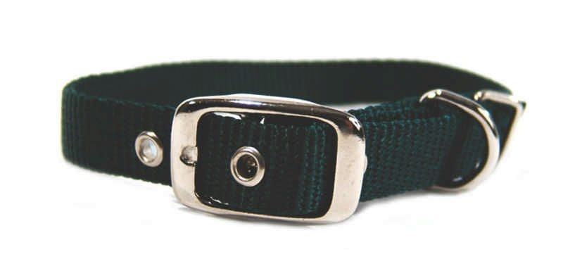 Single Nylon Dog Collar 2x0.25x0.25 Black