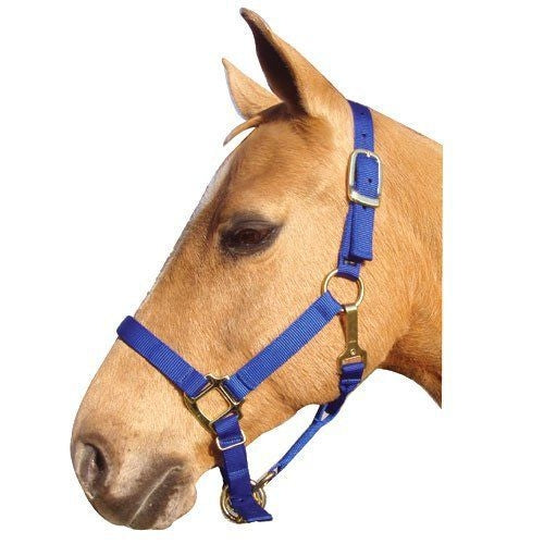 Interpid Nylon Adjustable Halter