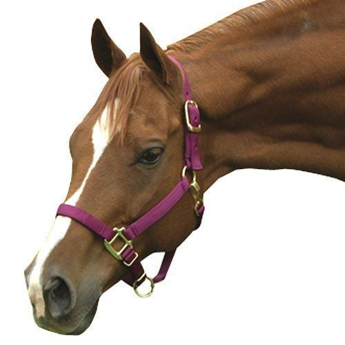 Interpid Nylon Adjustable Halter