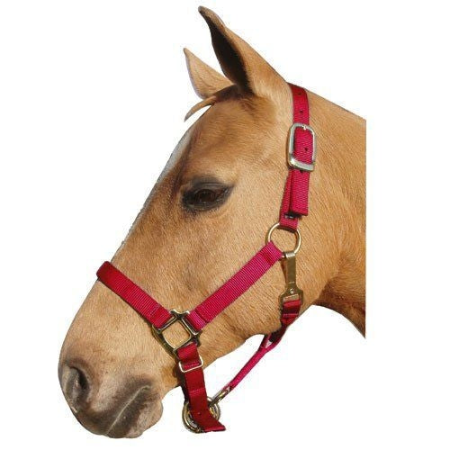 Interpid Nylon Adjustable Halter