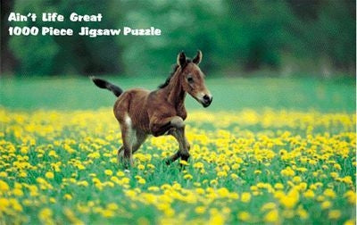 Puzzle - AinT Life Great 1000 Pc