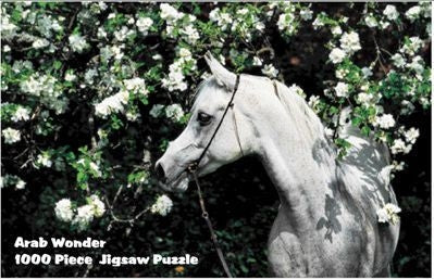 Puzzle - Arabian Dream 1000 Pc