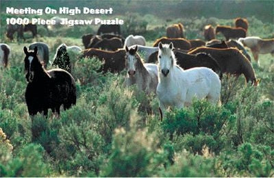 Puzzle - Meeting On High Desert 1000 Pc