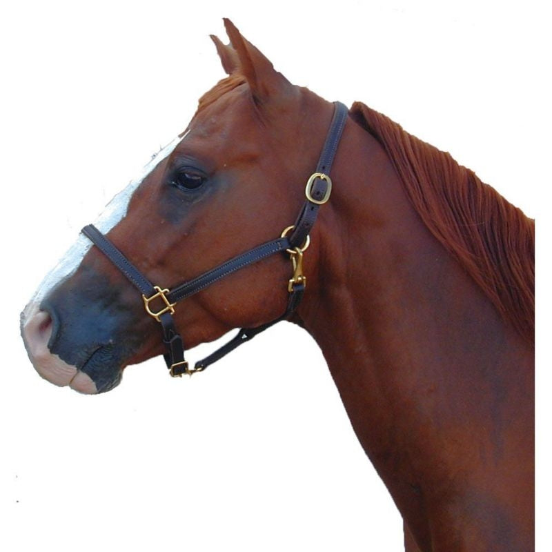 Latigo Lined Leather 3/4 Halter