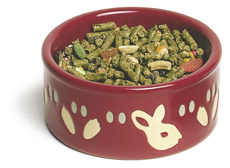 Bunny Pawprint Petware Dish 6 x 1.5 x 6 Assorted