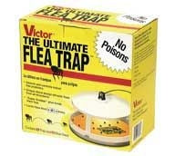 Victor The Ultimate Flea Trap