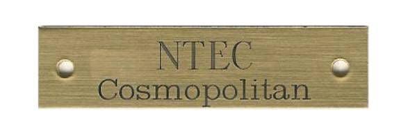 Beveled Style Girth Plate 1/2 X 3 Brass
