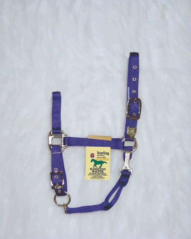 Nylon Chin Halter For Yearlings Yearling Brn