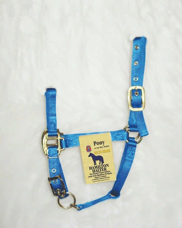 Nylon Chin Halter For Ponies Pony Brn