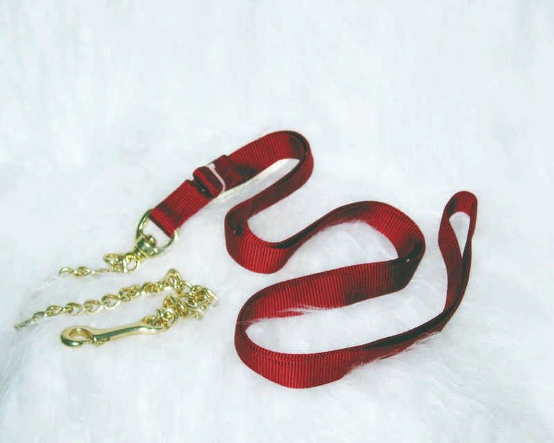 Nylon Lead With Chain For Horses 7ft Brn