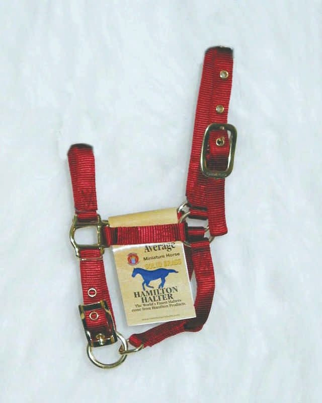 Hamilton Miniature Horse Halter Red
