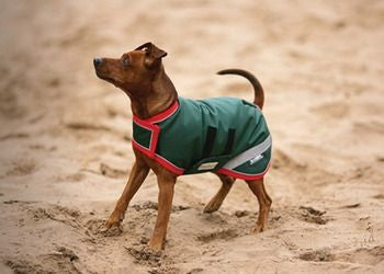 Rambo Dog Blankets L Green Red