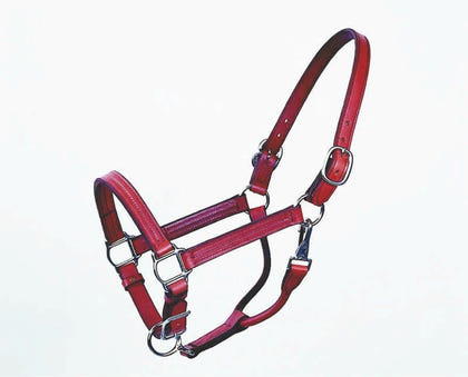Halter Track 1 Inch