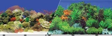 Blue Ribbon Reef Aquarium Background