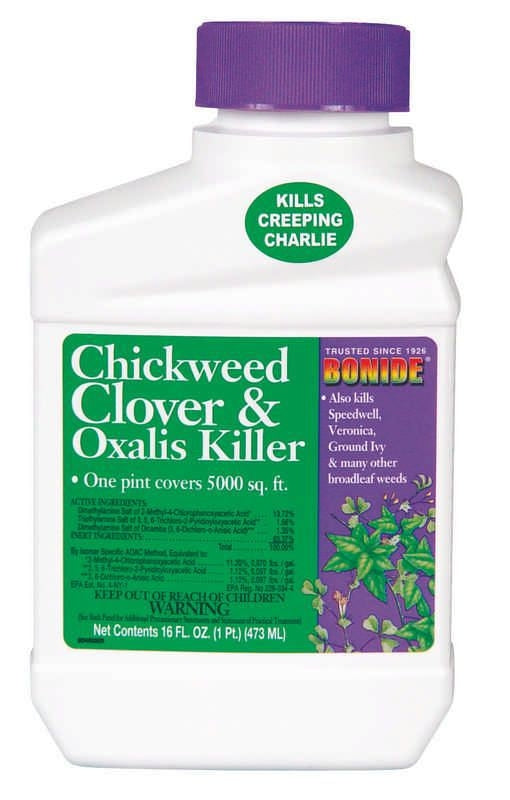 Chickweed Clover Oxalis Killer Concentrate