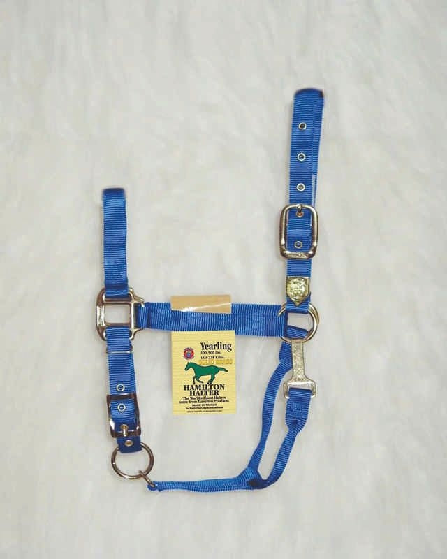 Hamilton Halter Adjustable Chin/Snap Yearling Blue