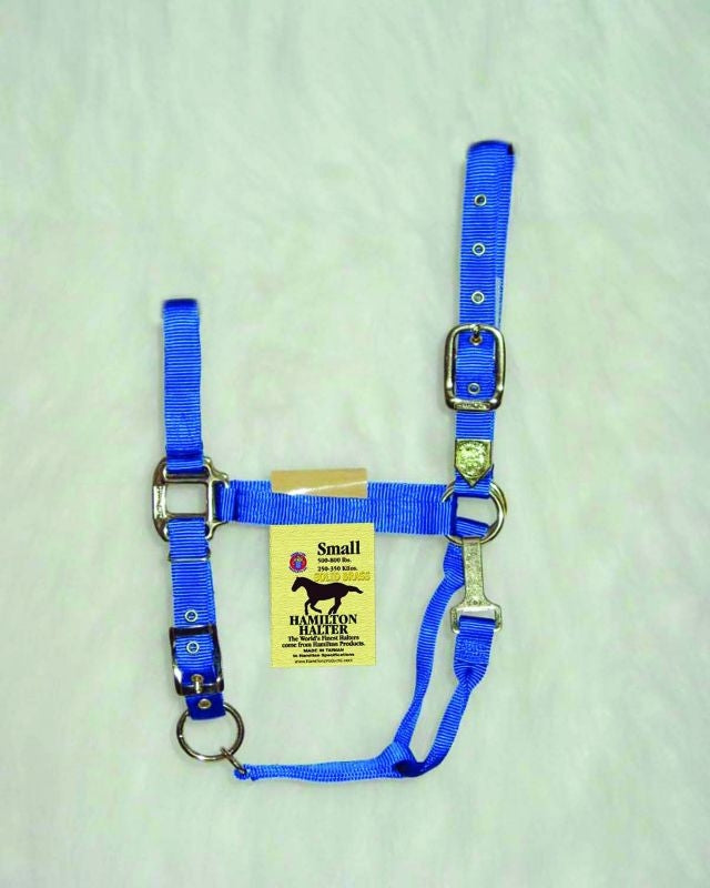 Hamilton Nylon Adj Halter with Snap SM Horse Black