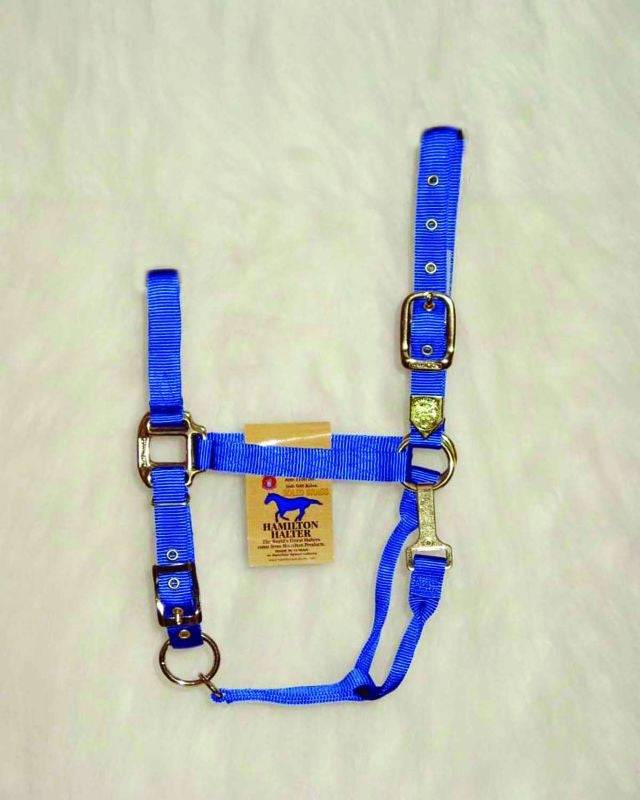 Hamilton Nylon Adj Halter with Snap SM Horse Black