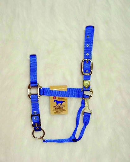 Hamilton Nylon Adj Halter with Snap SM Horse Black