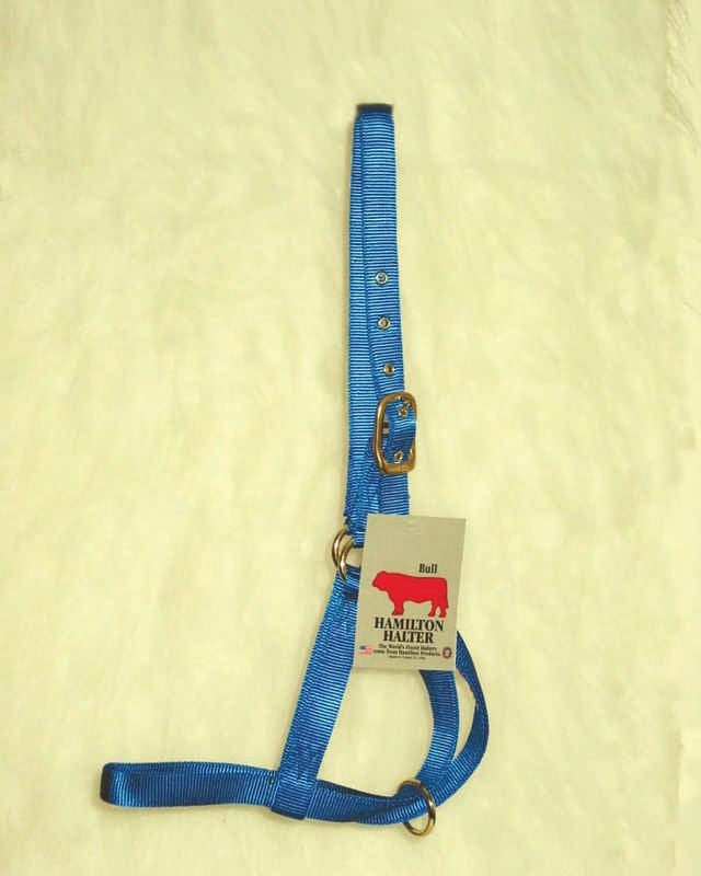 Bull Turn Out Halter 1 Inch Blue