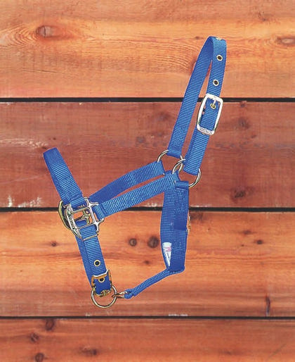 Halter Adjustable Chin
