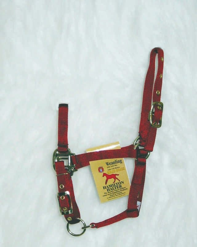 Halter Adjustable Chin