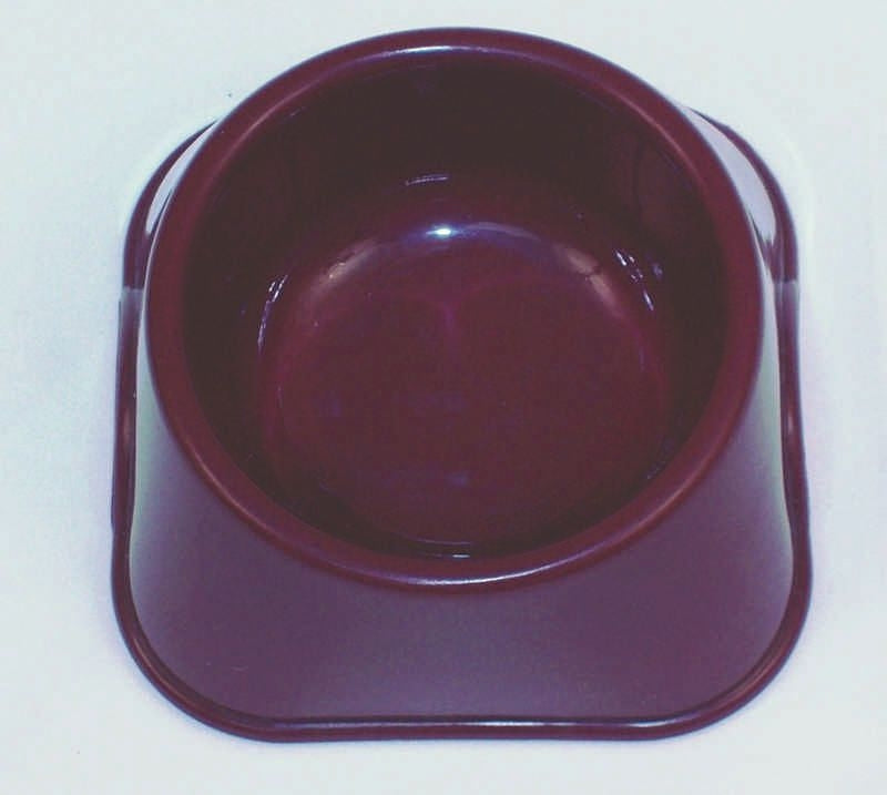 Best Buy Pet Bowl LG