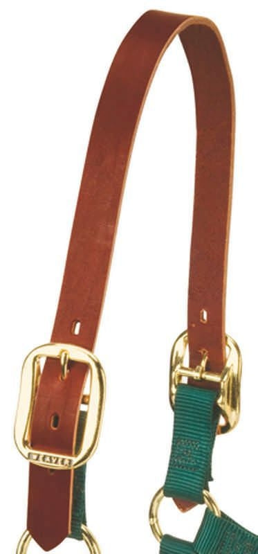 Crown Leather Replacement 21in Brn