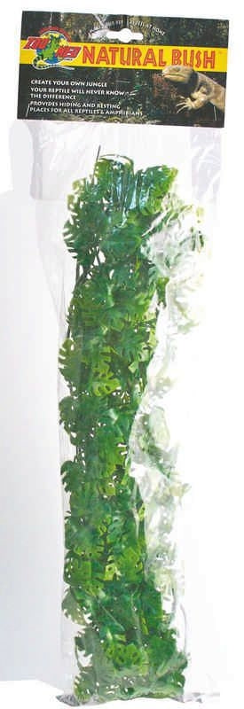 Plant Amazon Phyllos Large Green