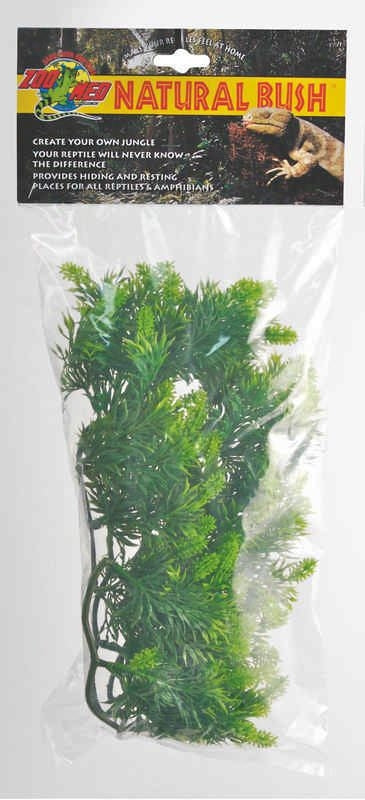 Plant Malaysian Fern Medium Green