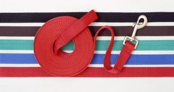 6 Pack Nylon Web Lunge Line